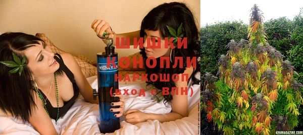 винт Белокуриха
