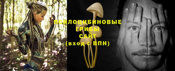 кокс Беломорск