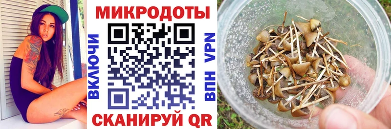 Псилоцибиновые грибы GOLDEN TEACHER  закладка  Сызрань 